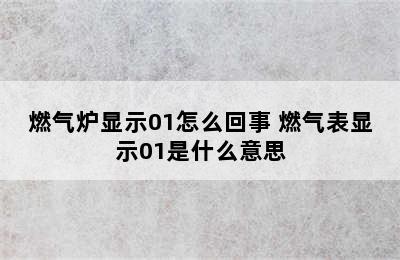 燃气炉显示01怎么回事 燃气表显示01是什么意思